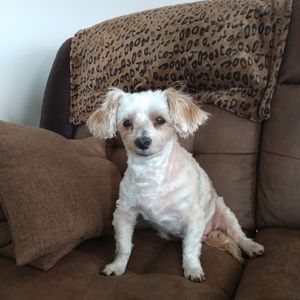 Meet your Posher, Katelynn